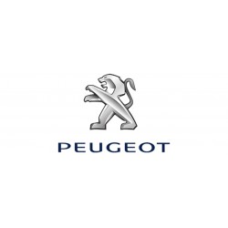 PEUGEOT REMOVER